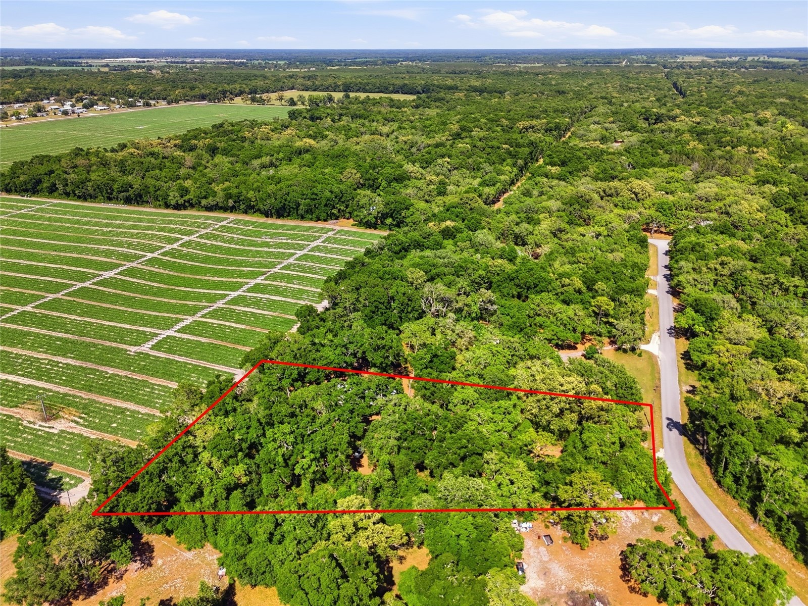 7651 NW 153rd Lane Chiefland FL 32626 GC540158 image41