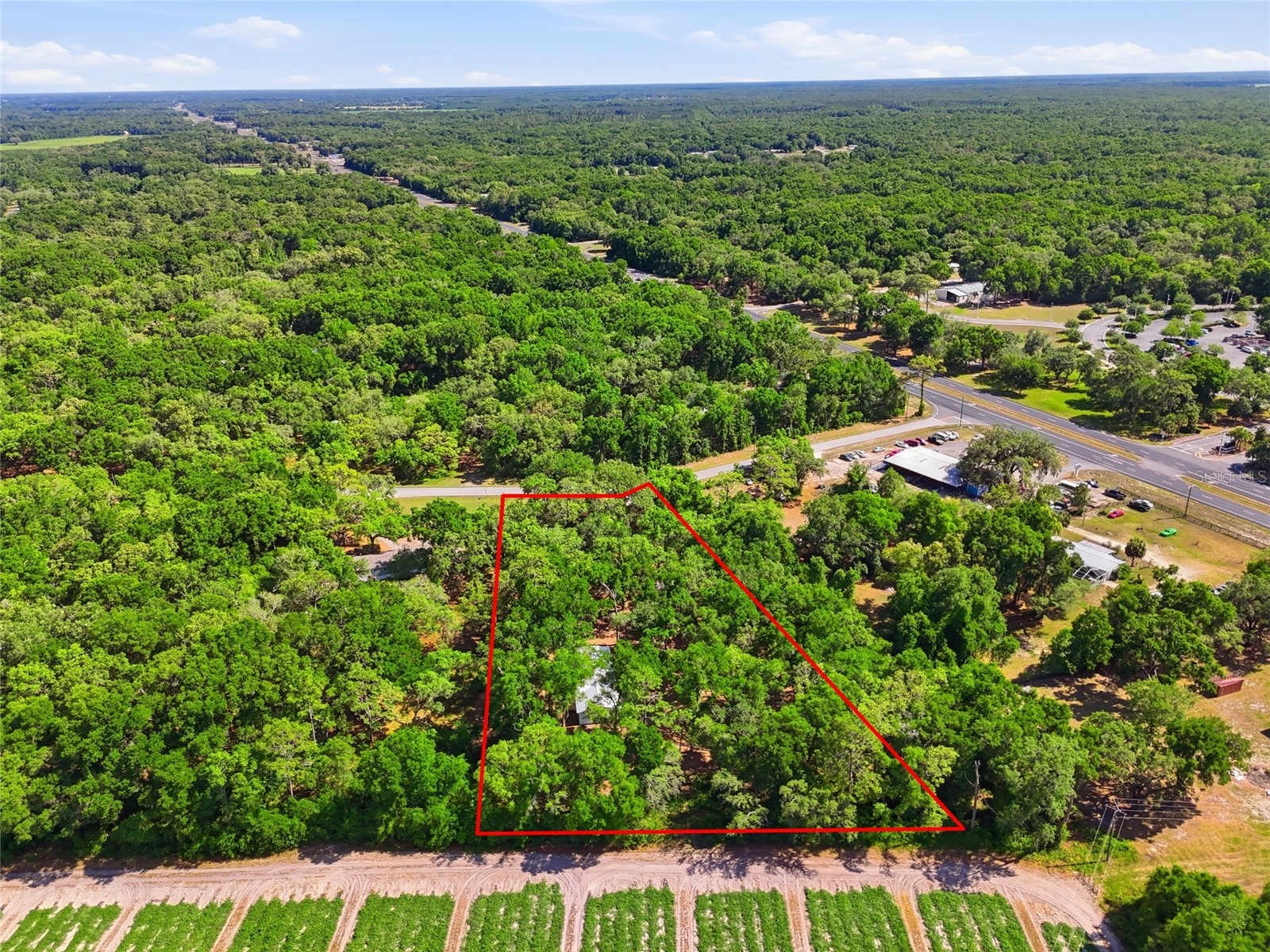 7651 NW 153rd Lane Chiefland FL 32626 GC540158 image43