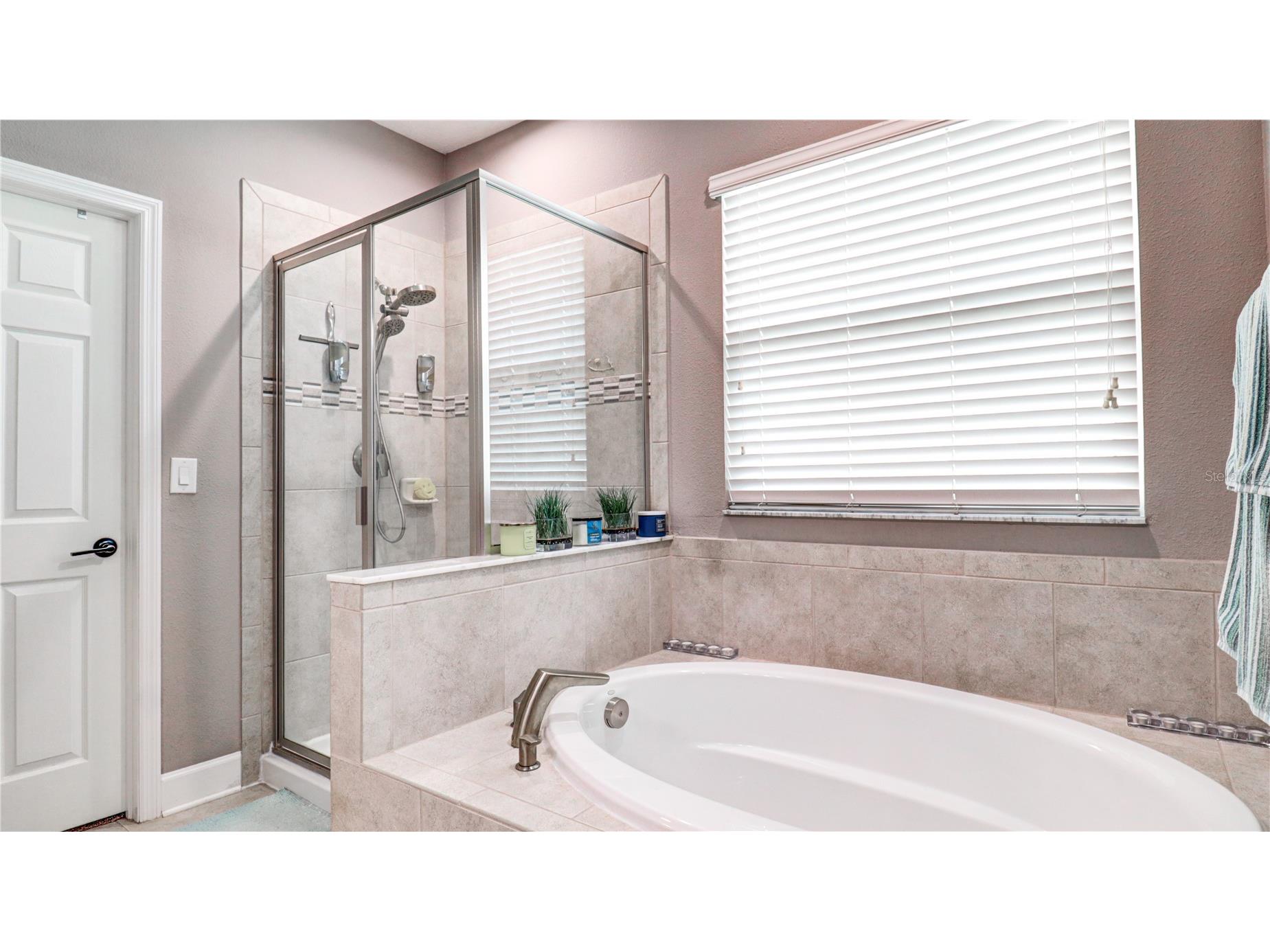 7651 Windchase Way Wesley Chapel FL 33545 TB8518579 image56
