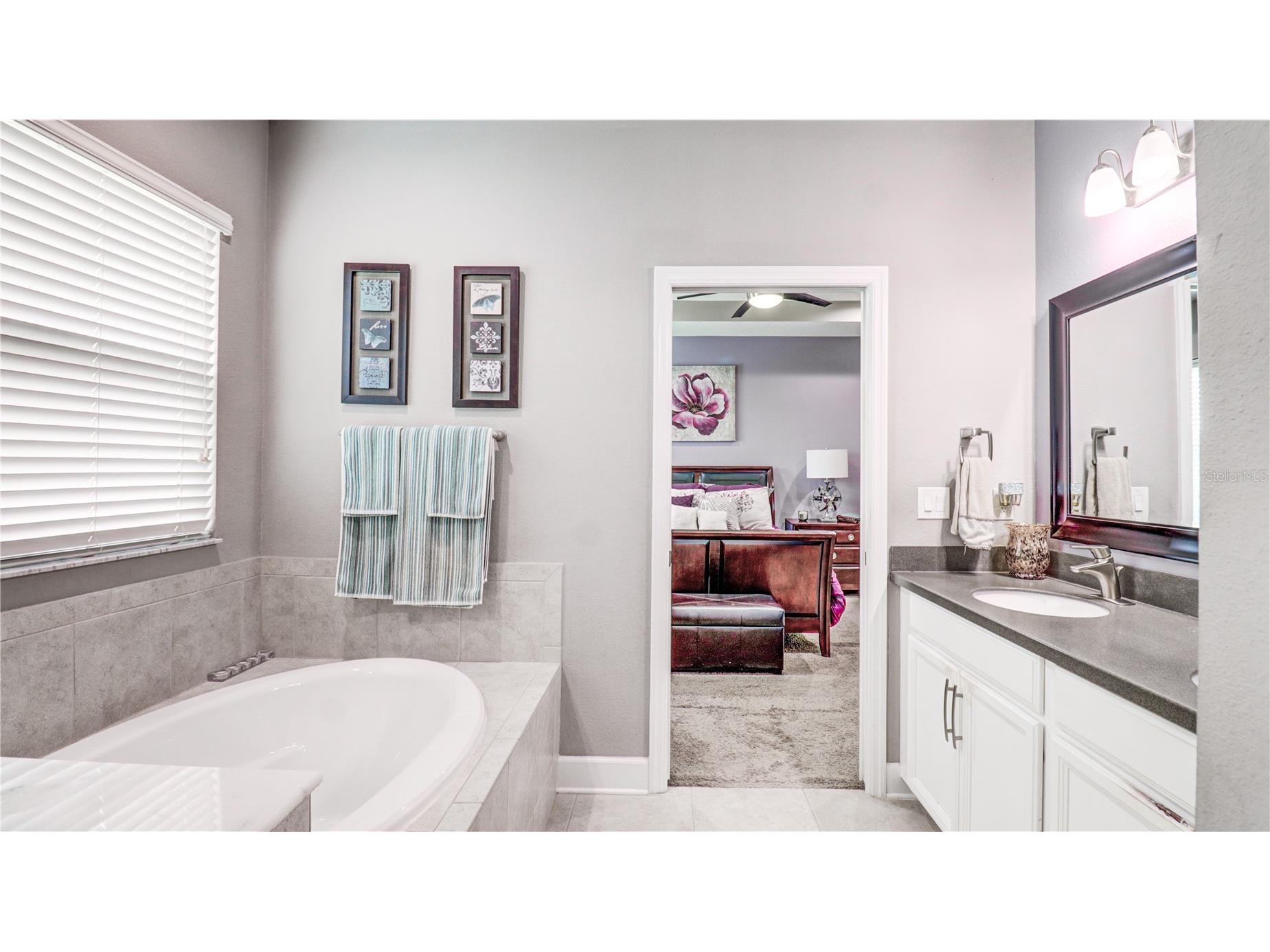 7651 Windchase Way Wesley Chapel FL 33545 TB8518579 image57