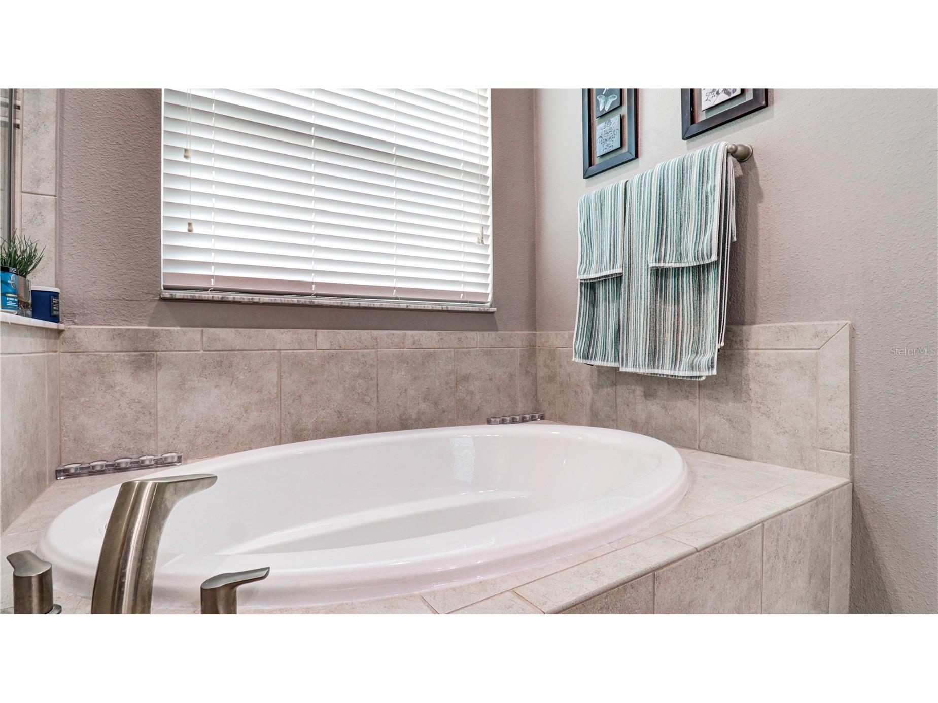 7651 Windchase Way Wesley Chapel FL 33545 TB8518579 image61