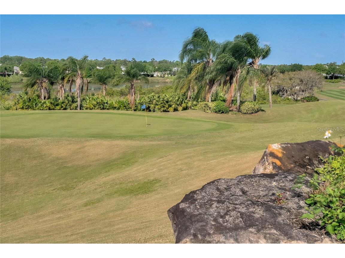 7652 Whisper Way #301 Reunion FL 34747 O6296233 image55