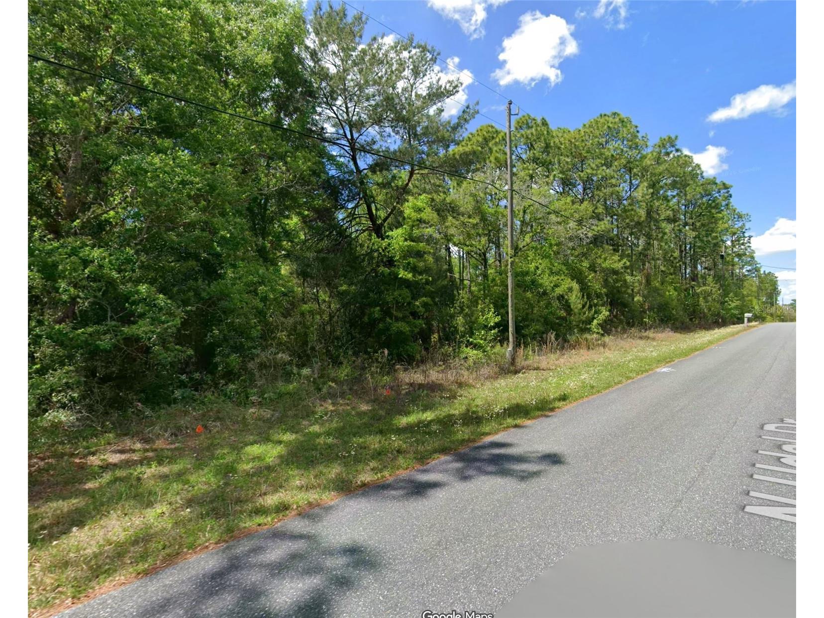 7654 N Udal Drive Citrus Springs FL 34434 OM726042 image3