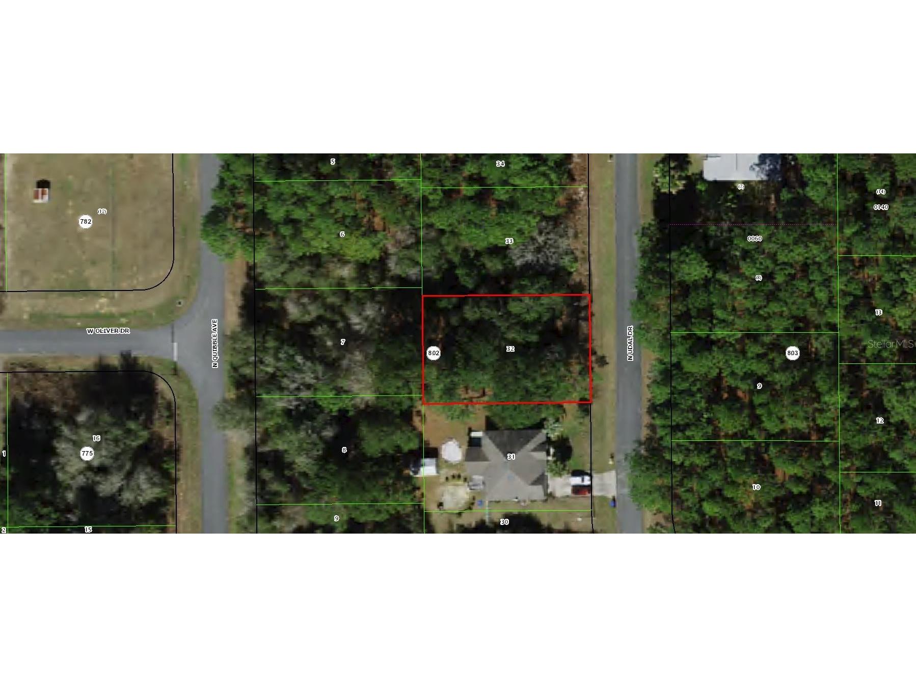 7654 N Udal Drive Citrus Springs FL 34434 OM726042 image4