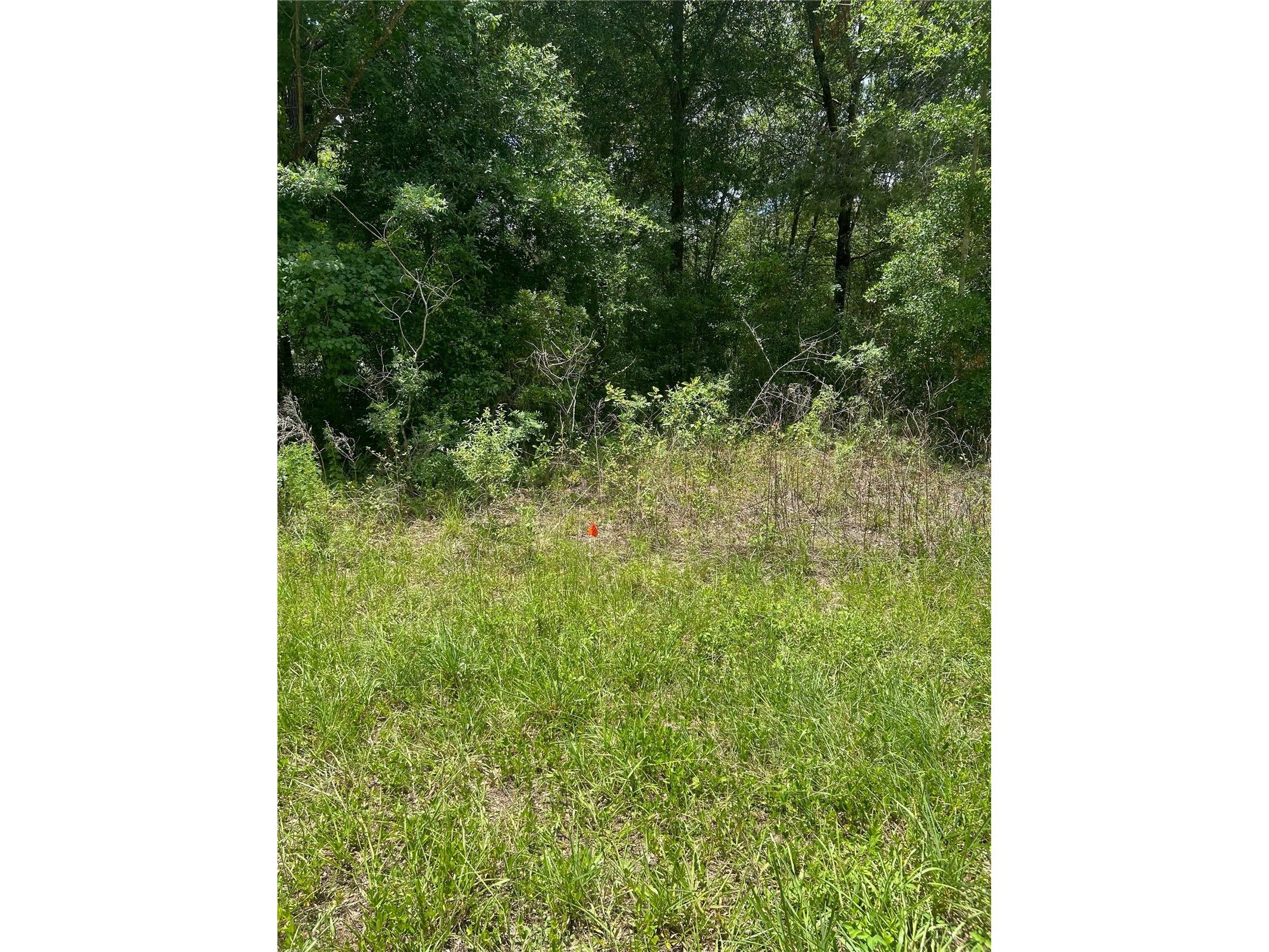7654 N Udal Drive Citrus Springs FL 34434 OM726042 image5