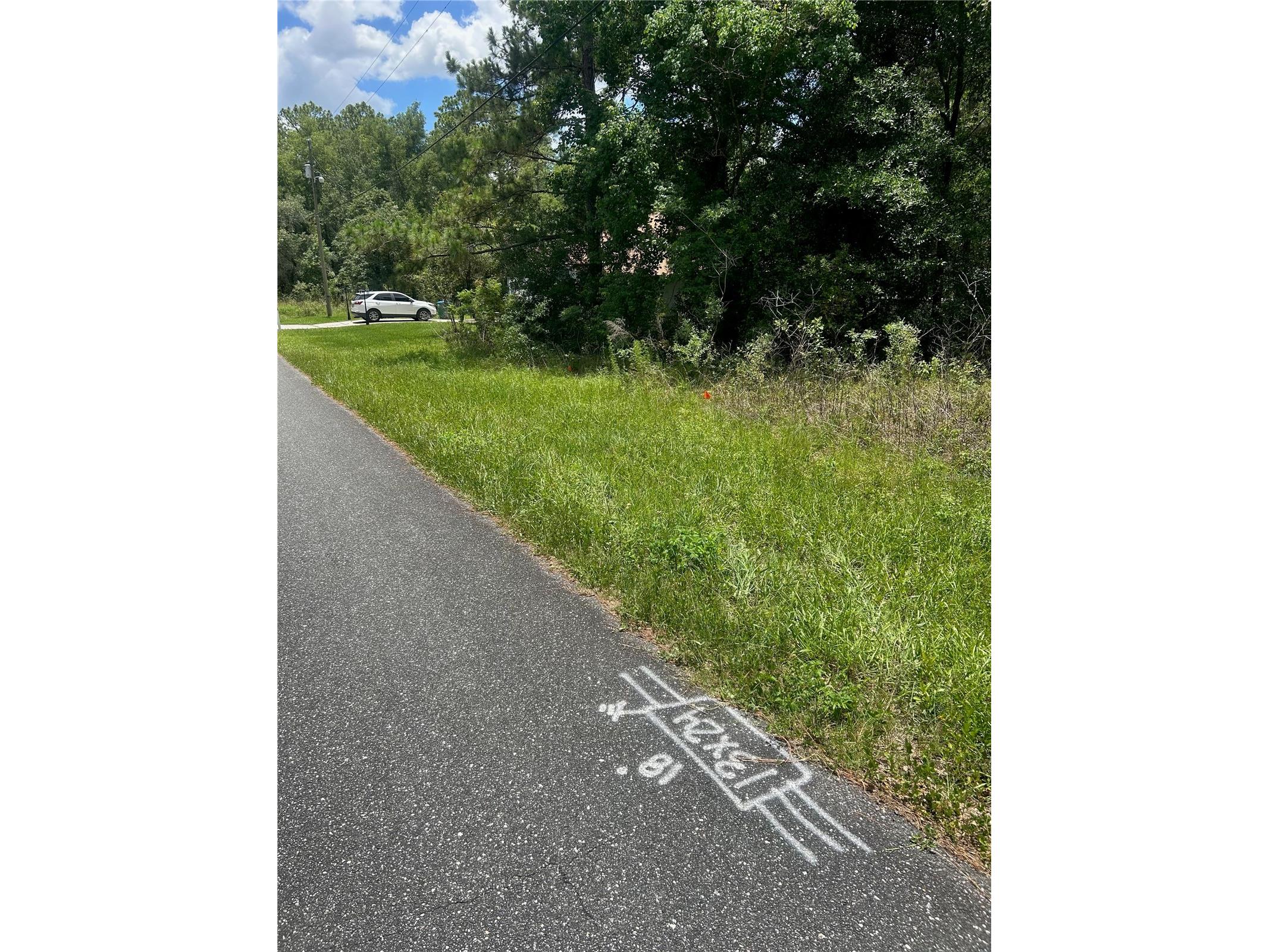 7654 N Udal Drive Citrus Springs FL 34434 OM726042 image6
