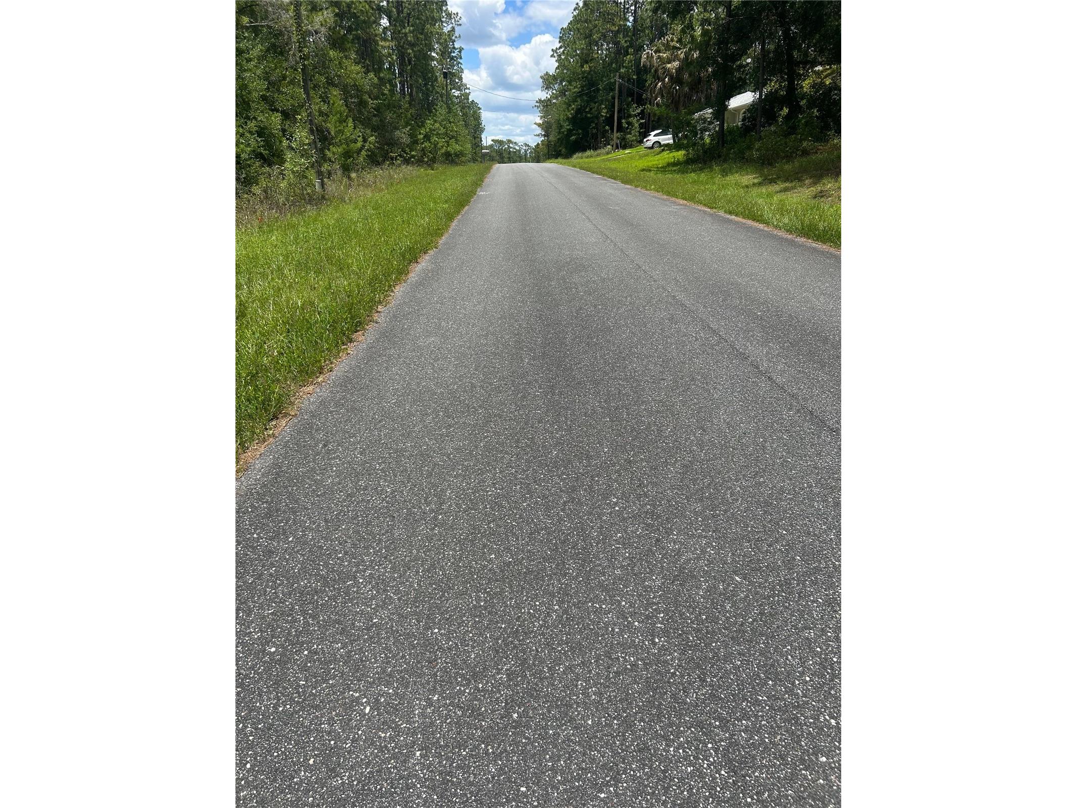 7654 N Udal Drive Citrus Springs FL 34434 OM726042 image7