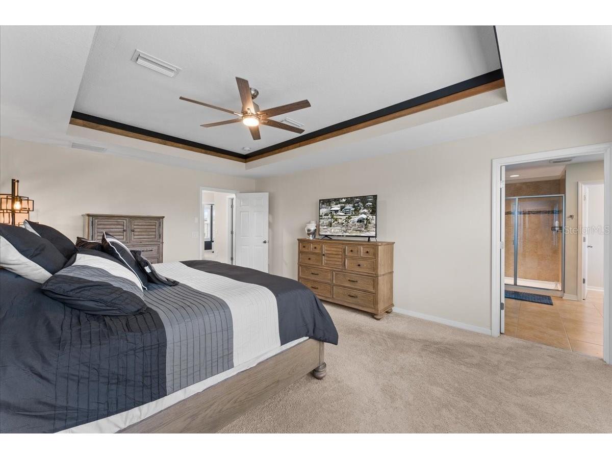 7655 Sweeter Tide Trail Wesley Chapel FL 33545 TB8504803 image38