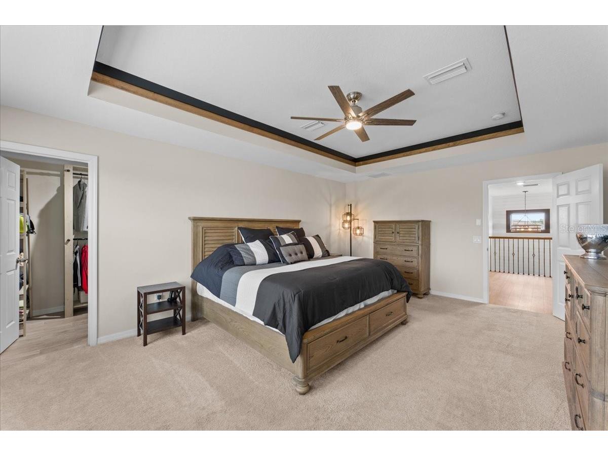 7655 Sweeter Tide Trail Wesley Chapel FL 33545 TB8504803 image5