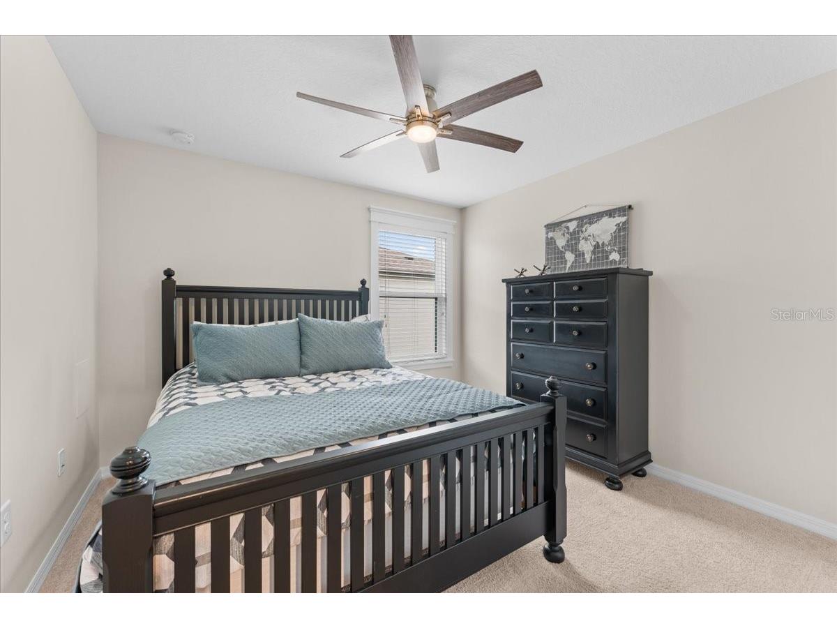 7655 Sweeter Tide Trail Wesley Chapel FL 33545 TB8504803 image50