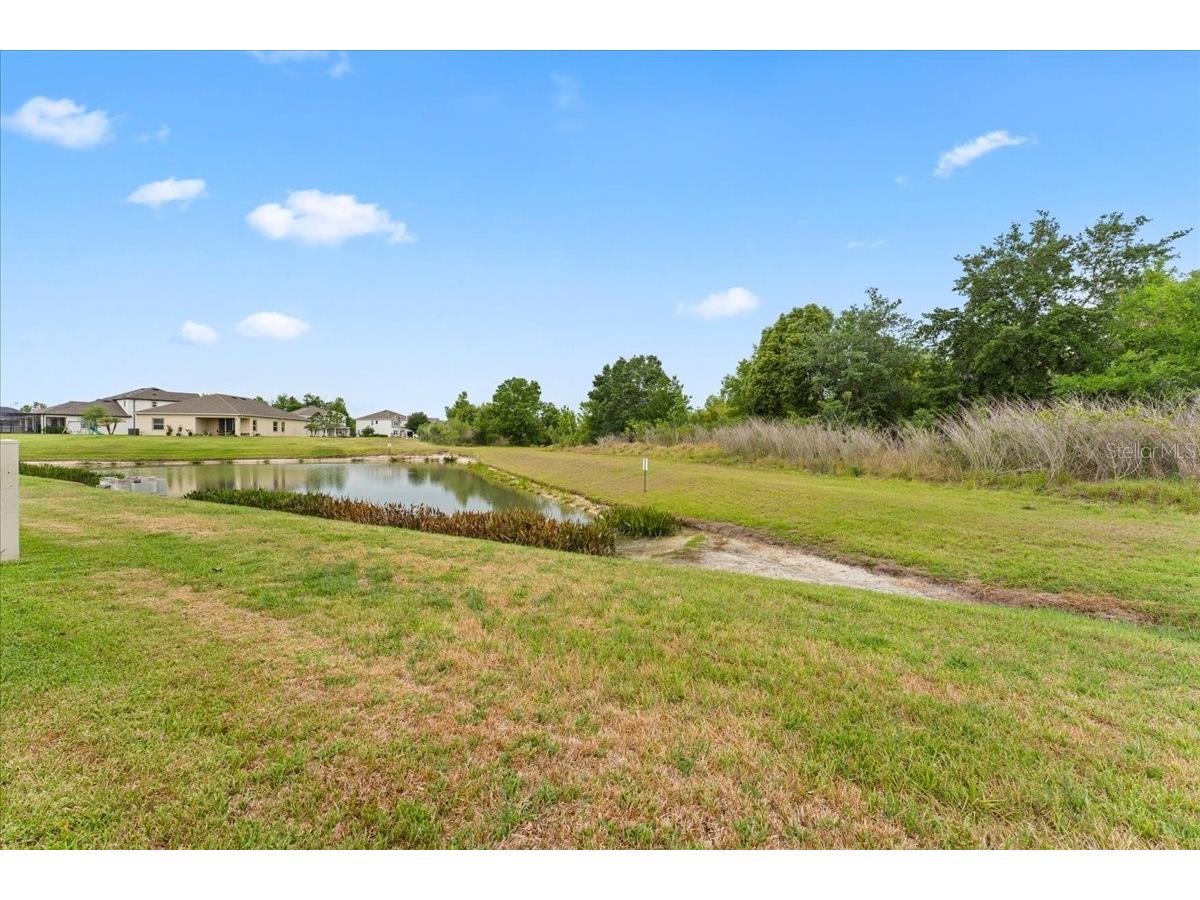 7655 Sweeter Tide Trail Wesley Chapel FL 33545 TB8504803 image61