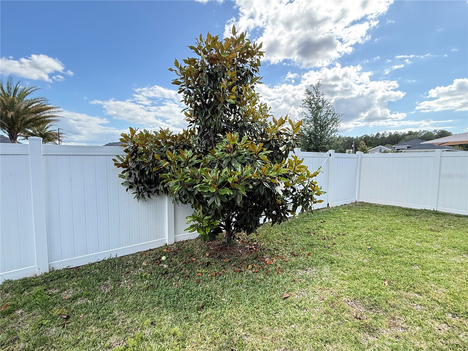 7656 SW 74th Loop Ocala FL 34481 OM720432 image84