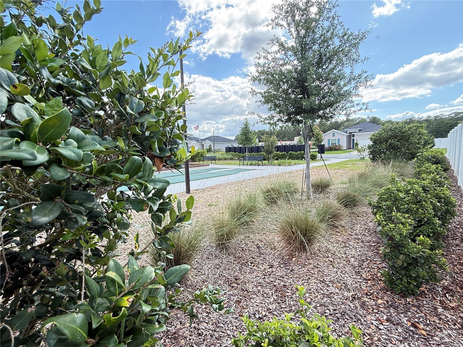 7656 SW 74th Loop Ocala FL 34481 OM720432 image91