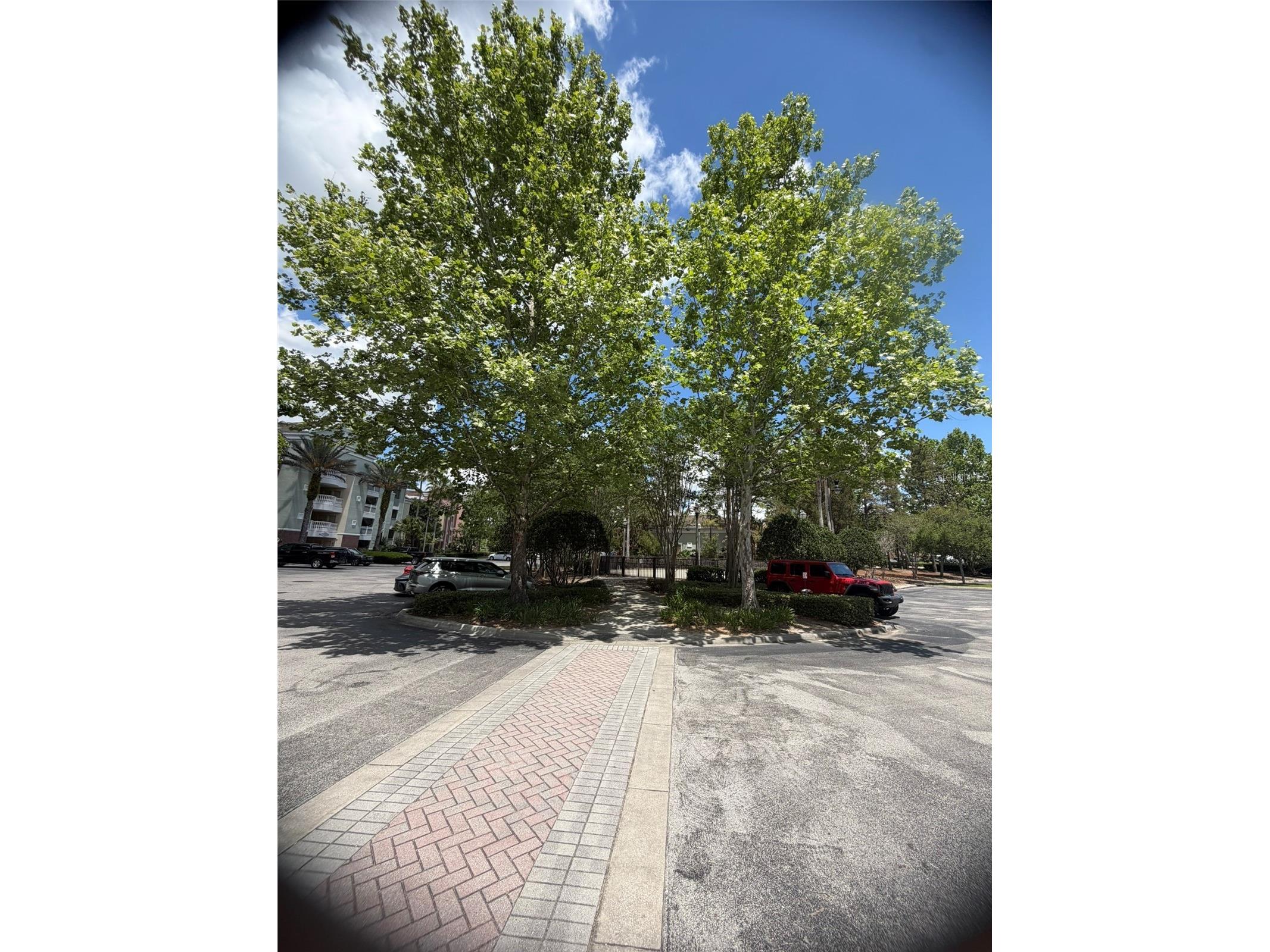 7656 Whisper Way #401 Reunion FL 34747 O6396261 image3