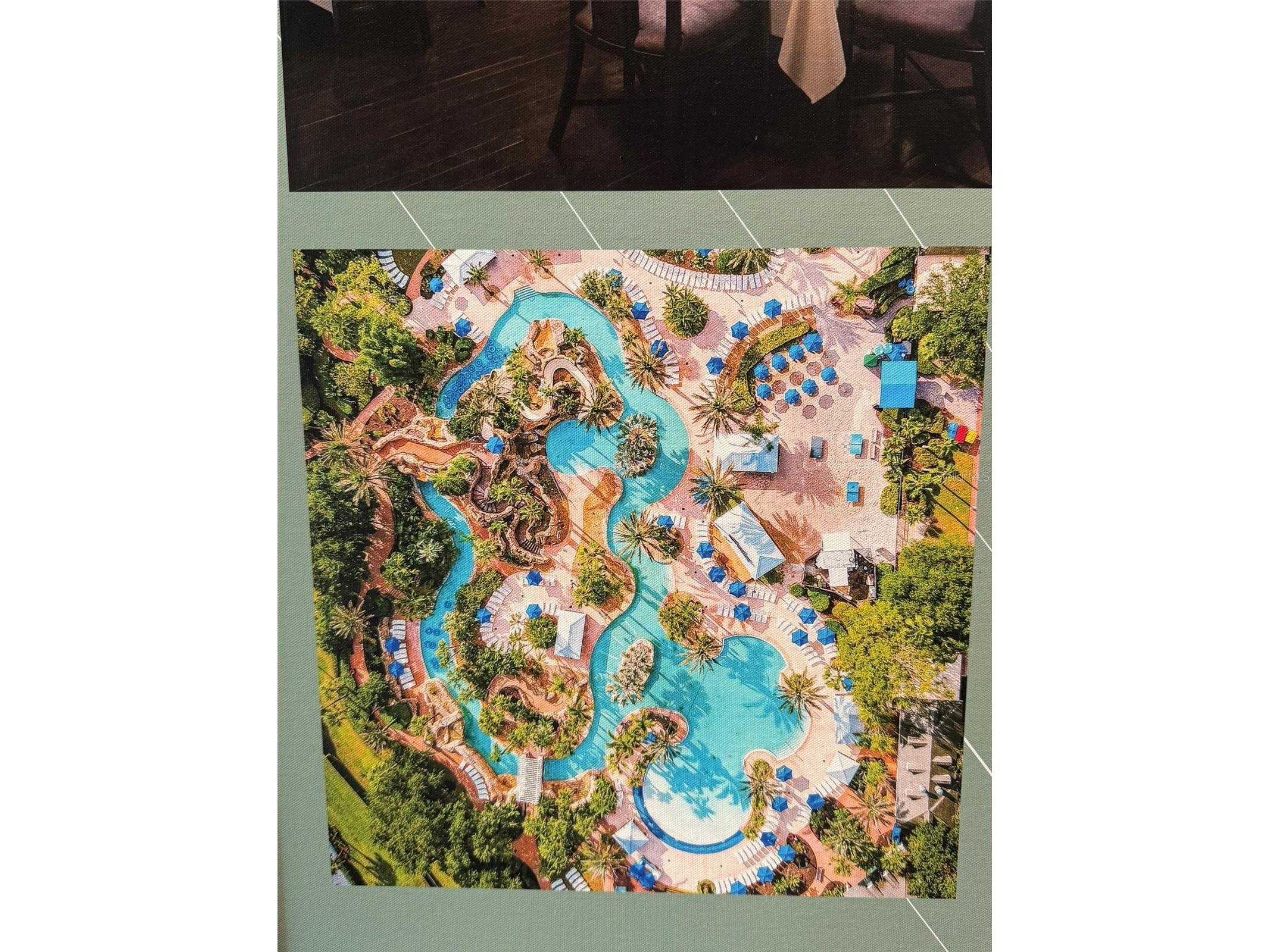 7656 Whisper Way #401 Reunion FL 34747 O6396261 image49