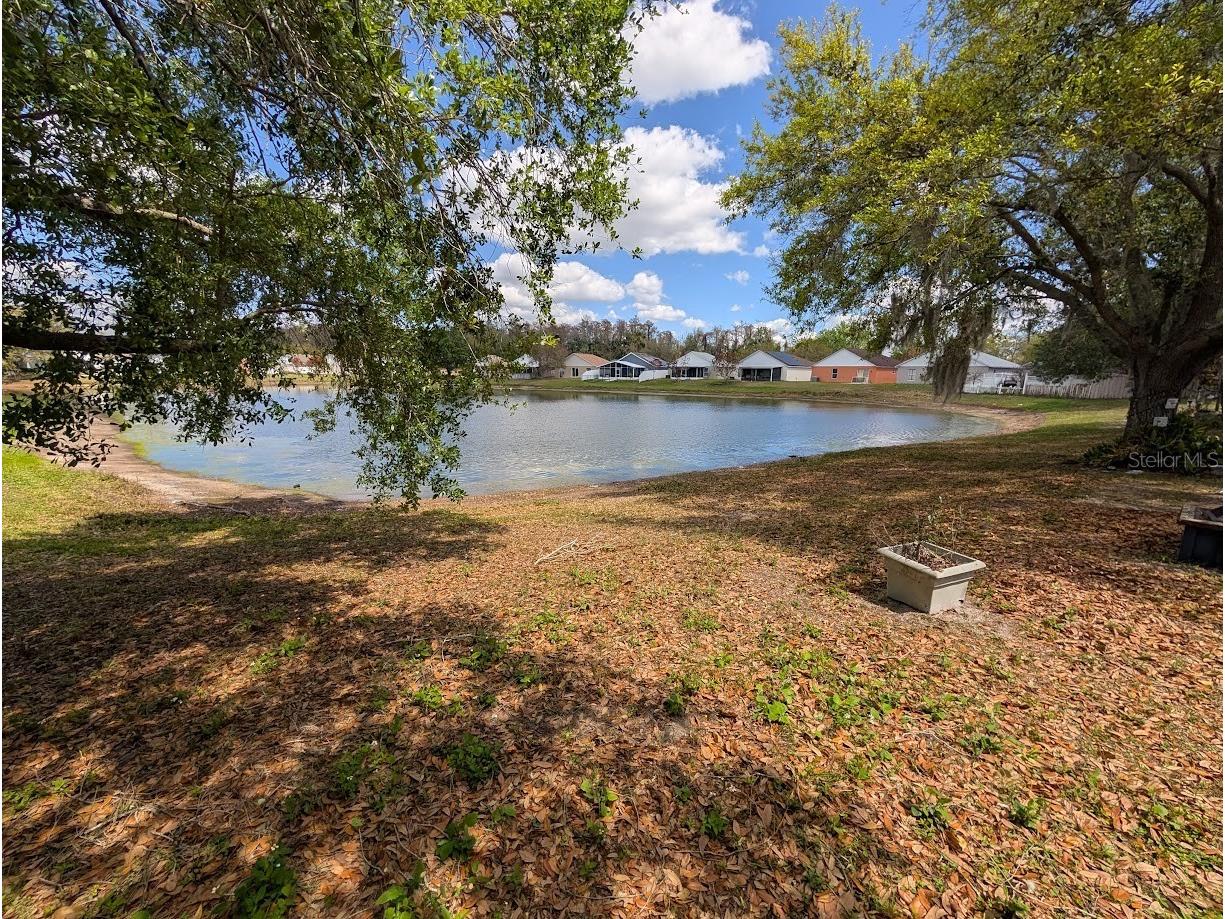 7657 Pine Fork Drive Orlando FL 32822 O6384863 image26