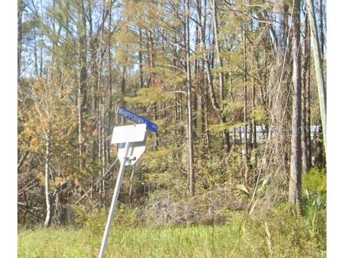 7659 Whipporwill Way Perry FL 32348 O6317482 image1