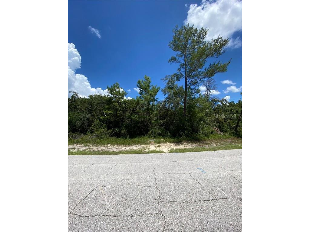 766 Arlene Drive Deltona FL 32725 O6336239 image1