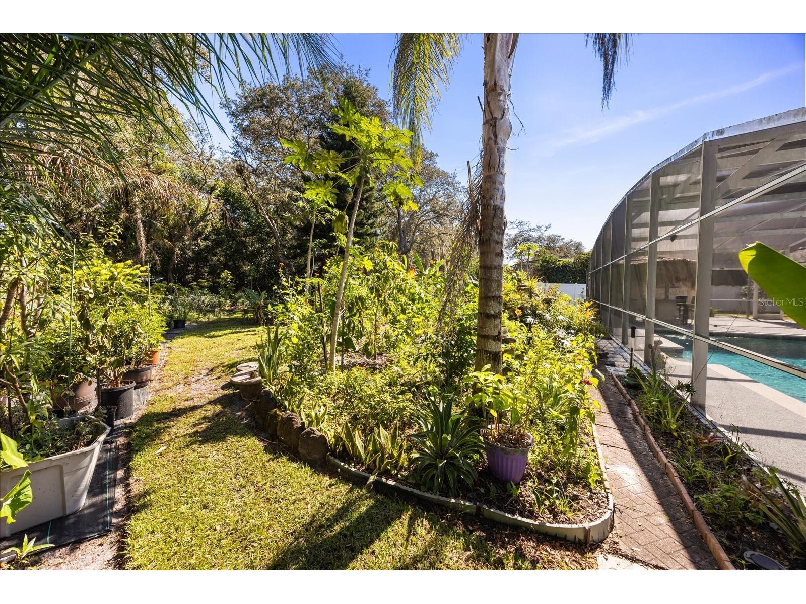 766 Keeneland Pike Lake Mary FL 32746 O6355326 image43