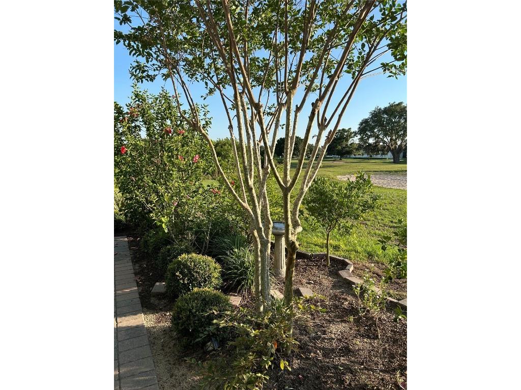 7661 Sand Pierre Court Kissimmee FL 34747 O6368190 image5