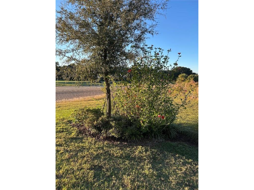 7661 Sand Pierre Court Kissimmee FL 34747 O6368190 image55