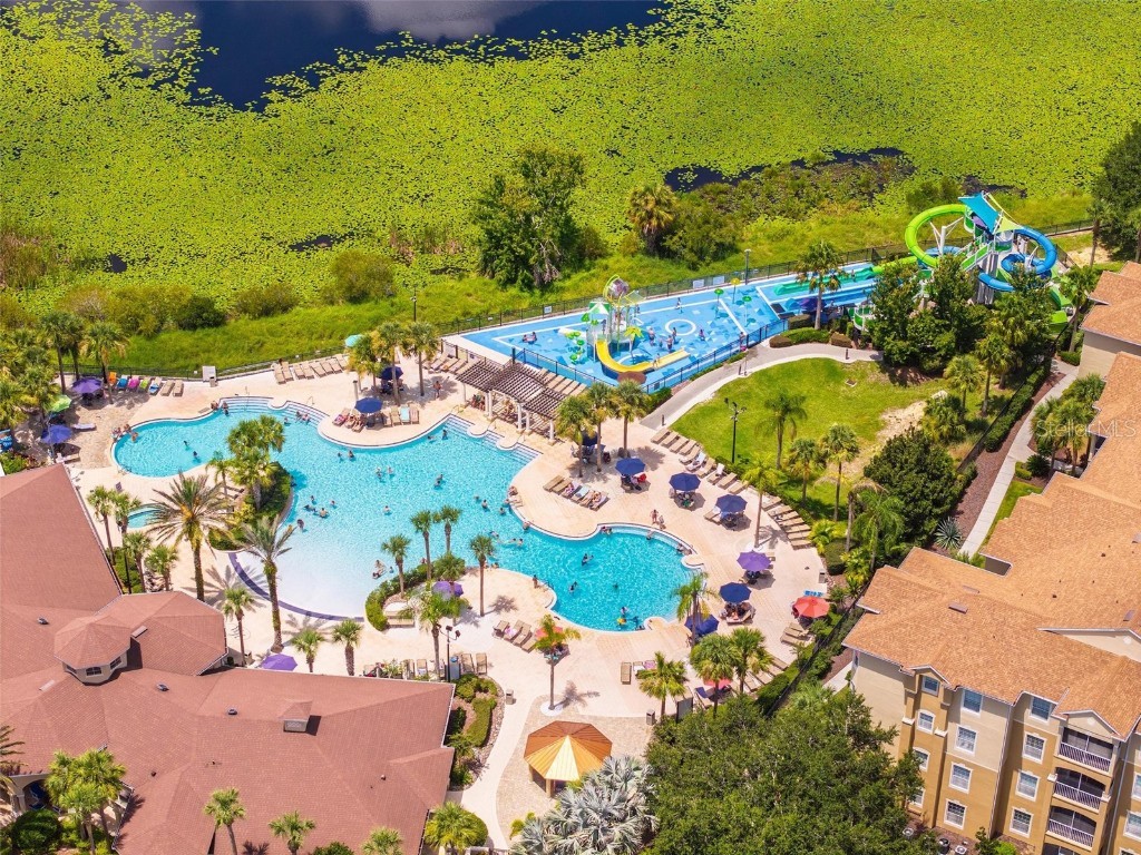 7664 Comrow St #103 Kissimmee FL 34747 O6333742 image2