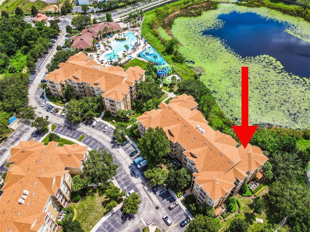 7664 Comrow Street #303 Kissimmee FL 34747 O6234575 image1