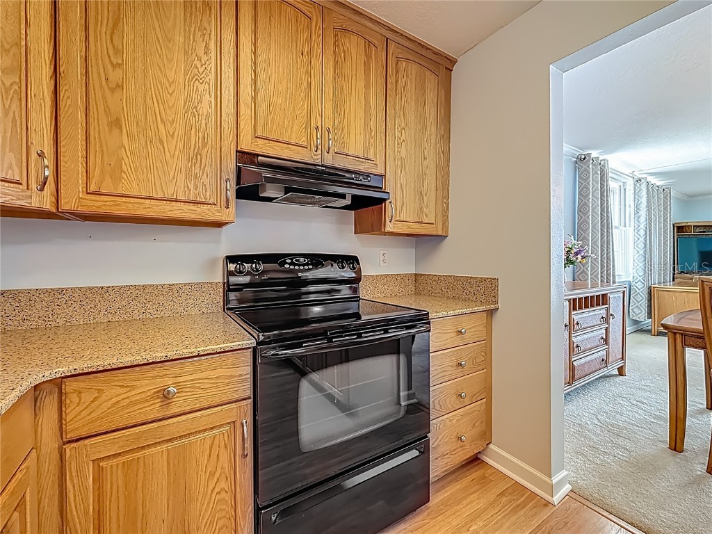 7665 Sun Island Drive #206 South Pasadena FL 33707 - BOCA CIEGA BAY TB8395294 image17