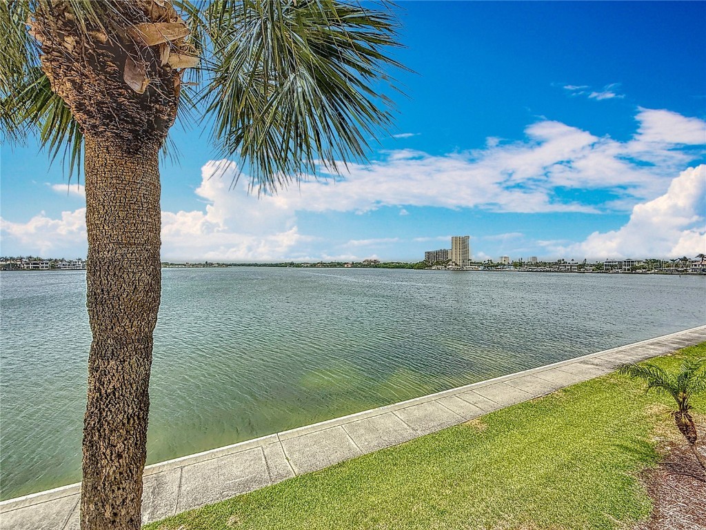 7665 Sun Island Drive #206 South Pasadena FL 33707 - BOCA CIEGA BAY TB8395294 image40