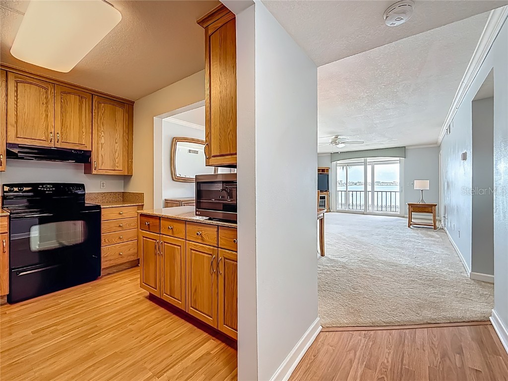 7665 Sun Island Drive #206 South Pasadena FL 33707 - BOCA CIEGA BAY TB8395294 image6