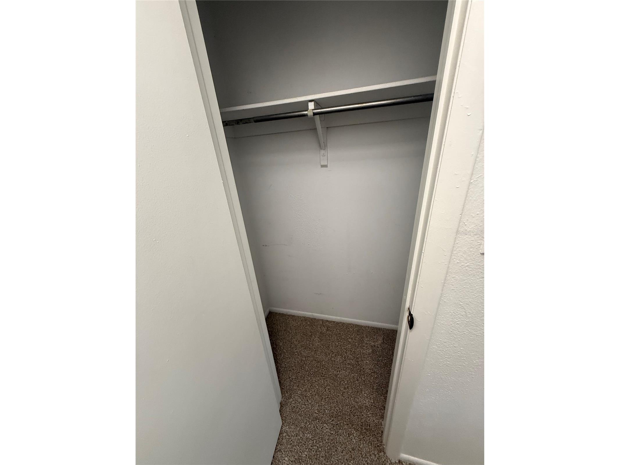 7667 Abonado Road #7667 Tampa FL 33615 A4687582 image13