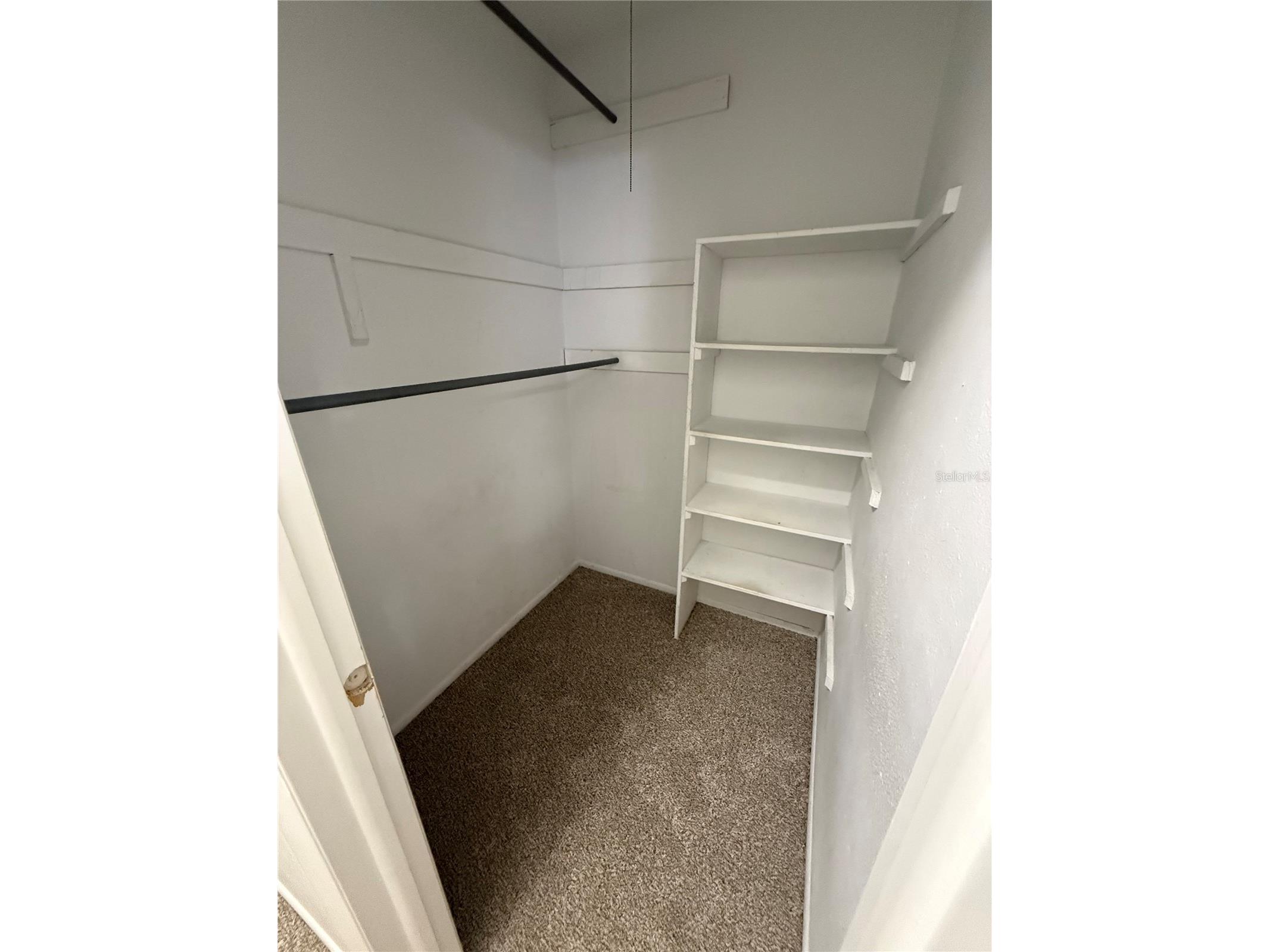7667 Abonado Road #7667 Tampa FL 33615 A4687582 image14