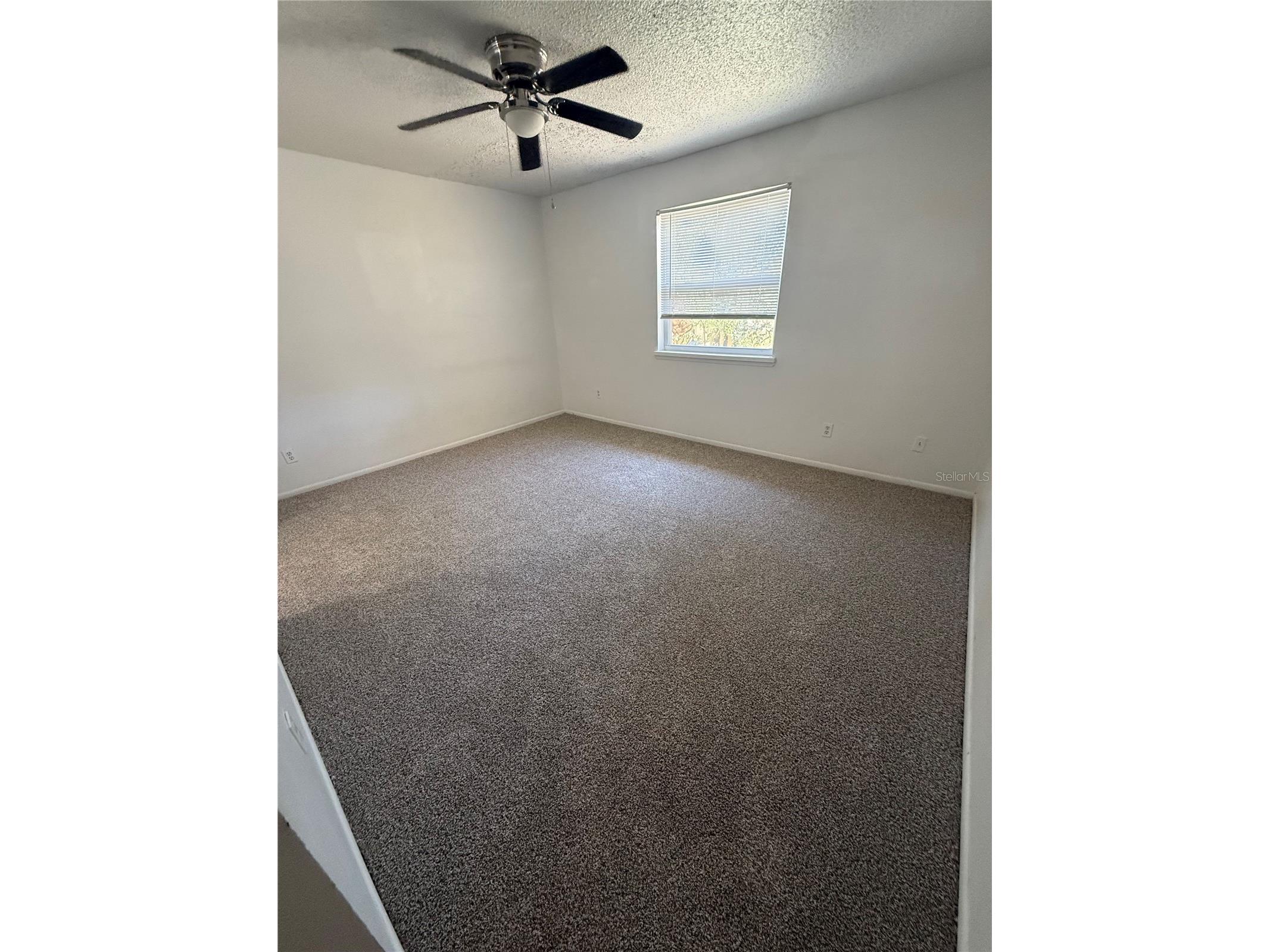 7667 Abonado Road #7667 Tampa FL 33615 A4687582 image6