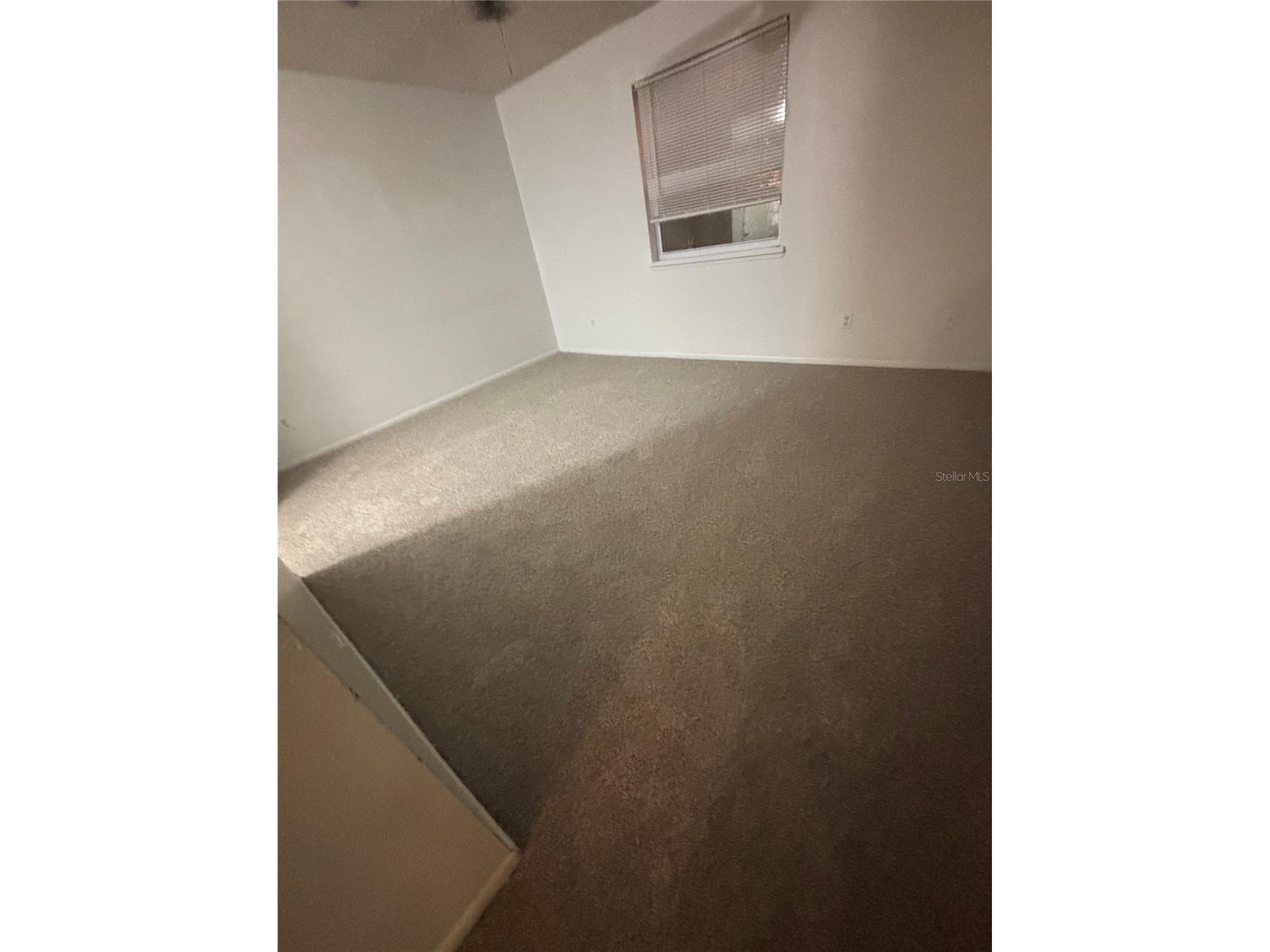7667 Abonado Road #7667 Tampa FL 33615 A4687582 image8