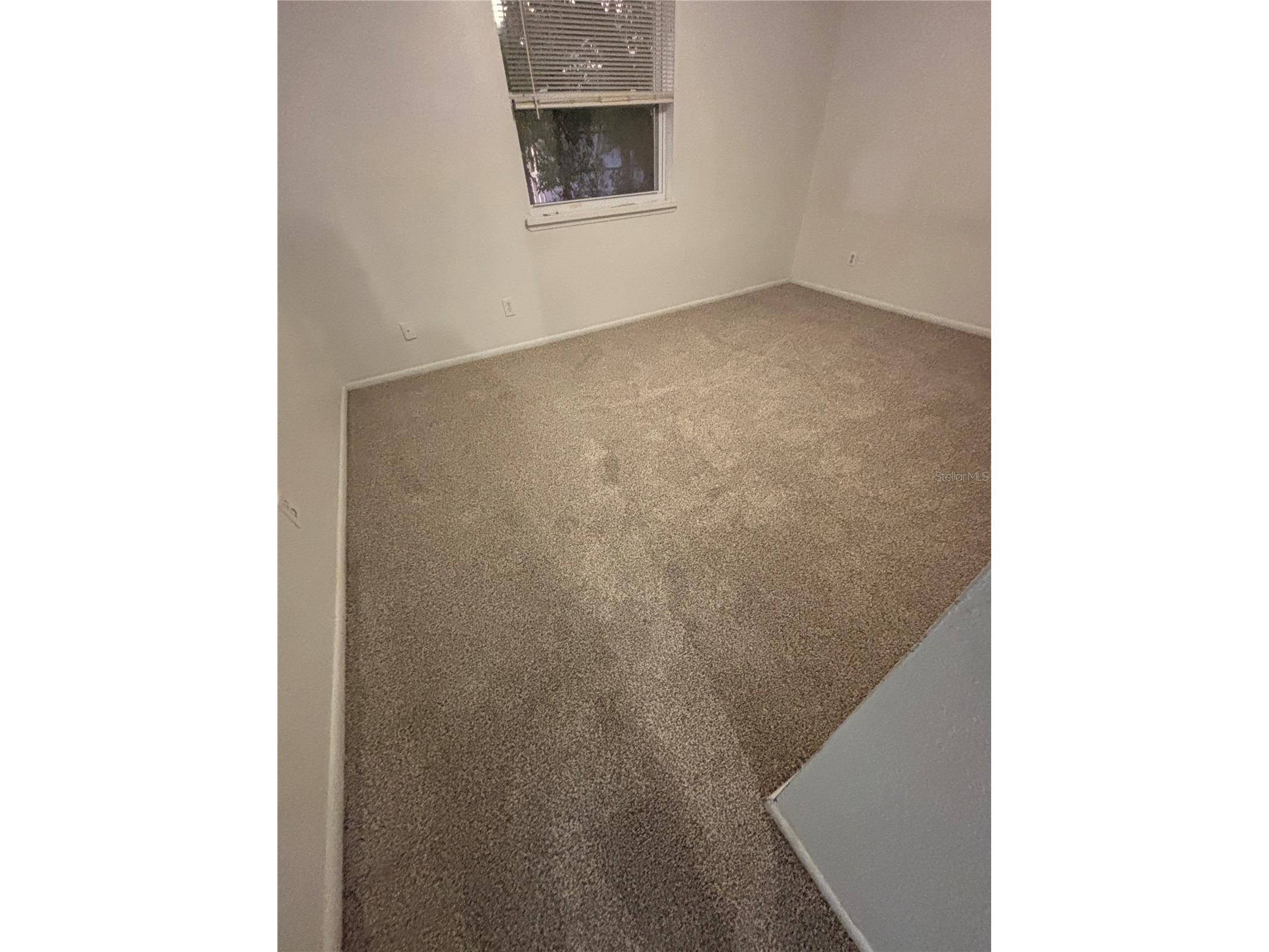 7667 Abonado Road #7667 Tampa FL 33615 A4687582 image9