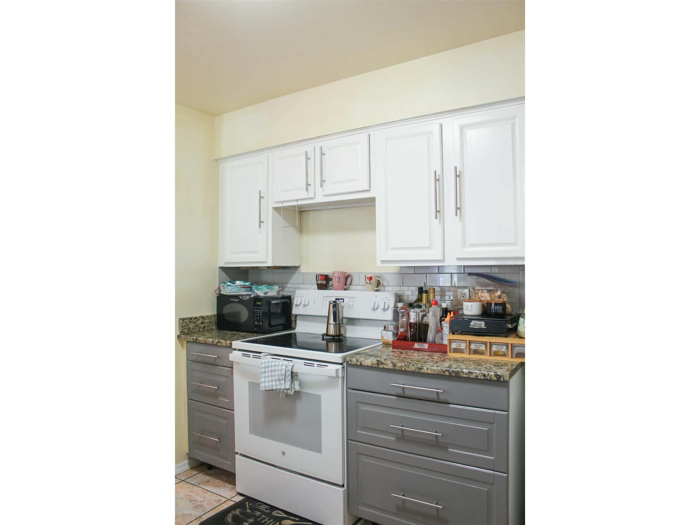 7667 Gramercy Drive Orlando FL 32818 V4948720 image5