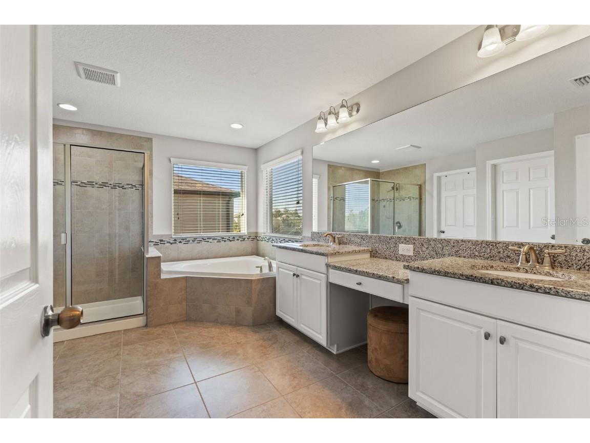 7667 Sweeter Tide Trail Wesley Chapel FL 33545 TB8449927 image43