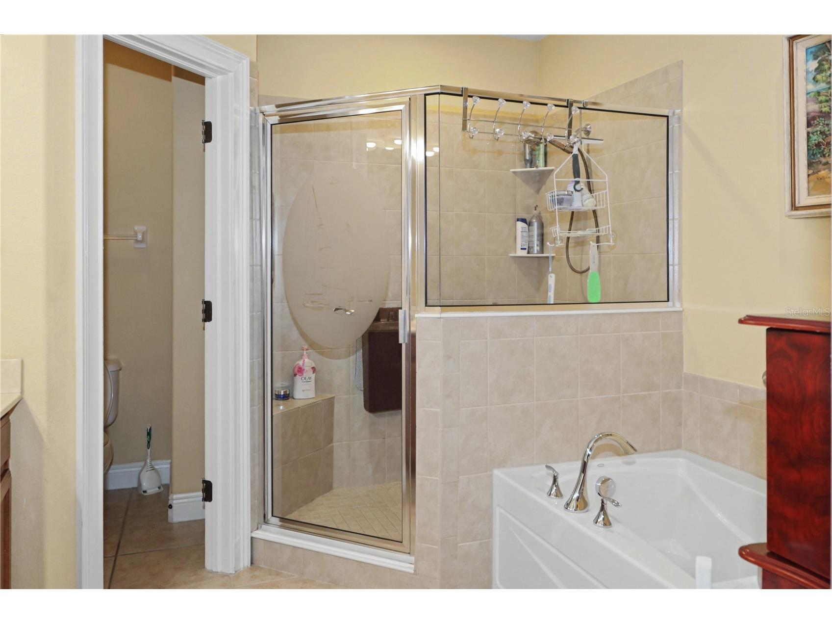 7669 Caponata Boulevard Seminole FL 33777 TB8465807 image17