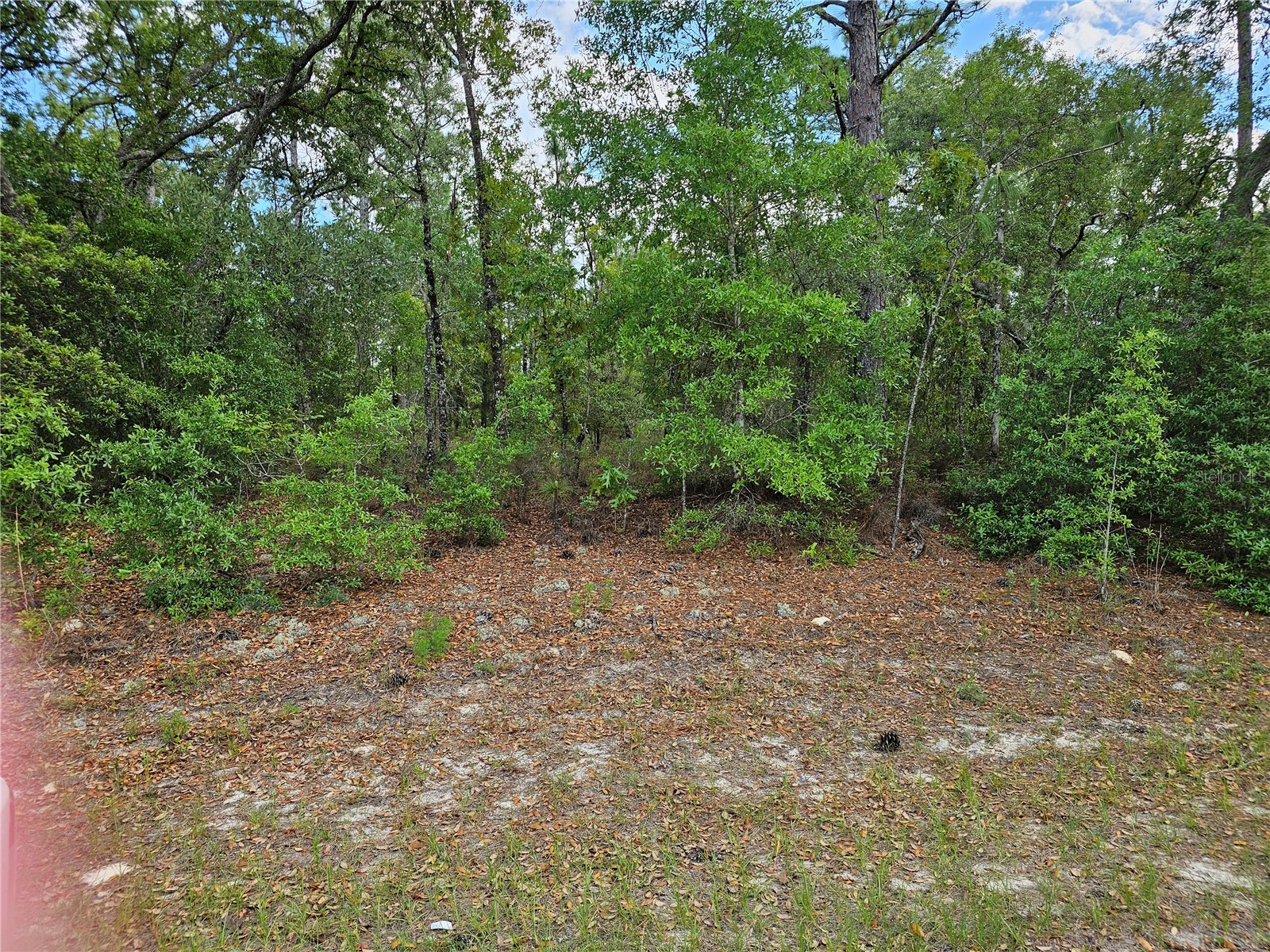 767 E Byrd Dunnellon FL 34434 OM723620 image1
