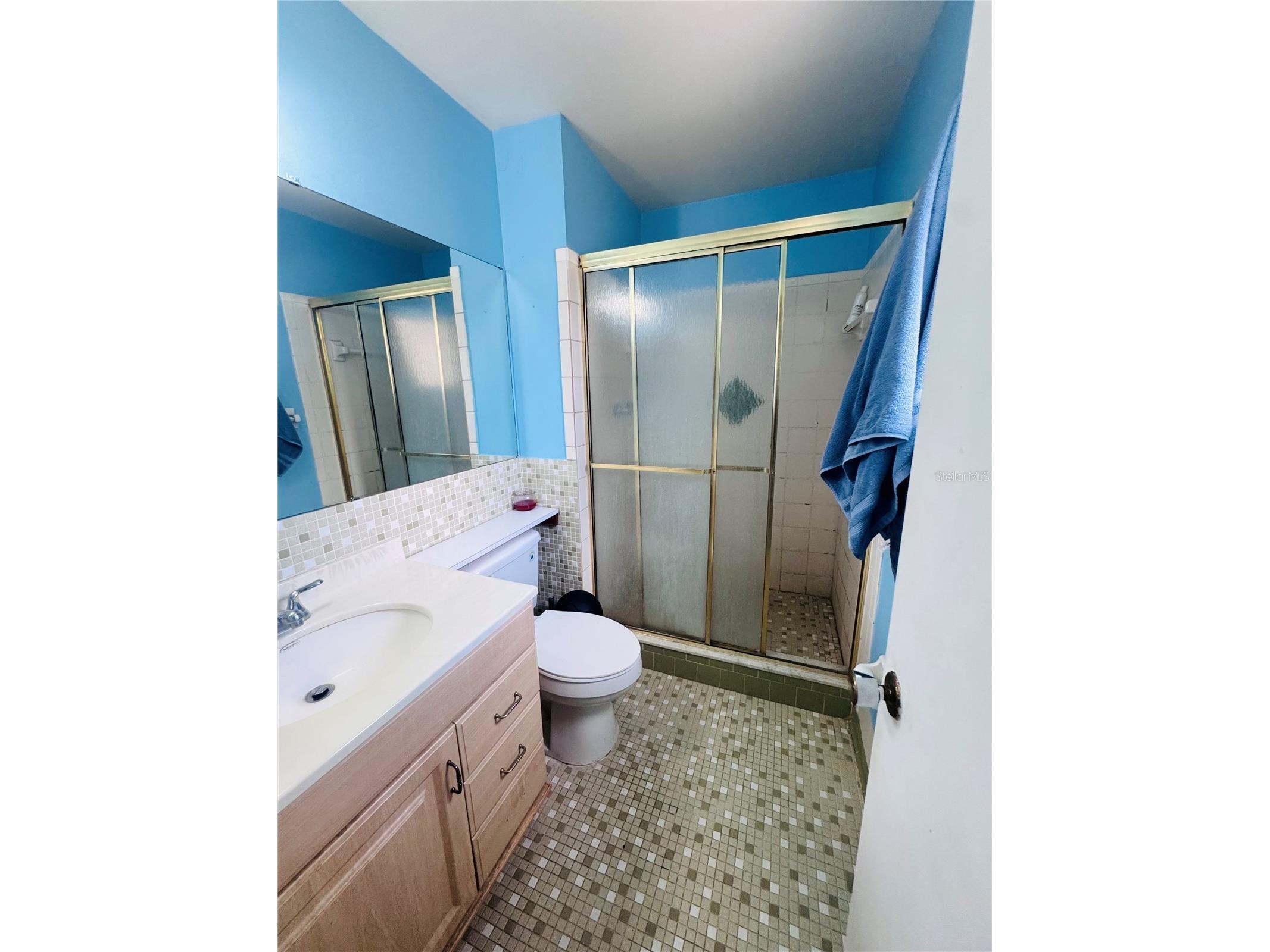 767 Forester Avenue Orlando FL 32809 S5154063 image41
