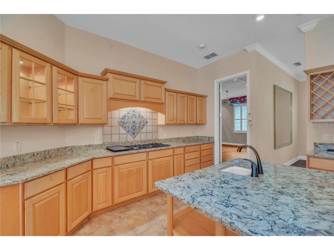 767 SE 131st Street Ocala FL 34480 OM702944 image20