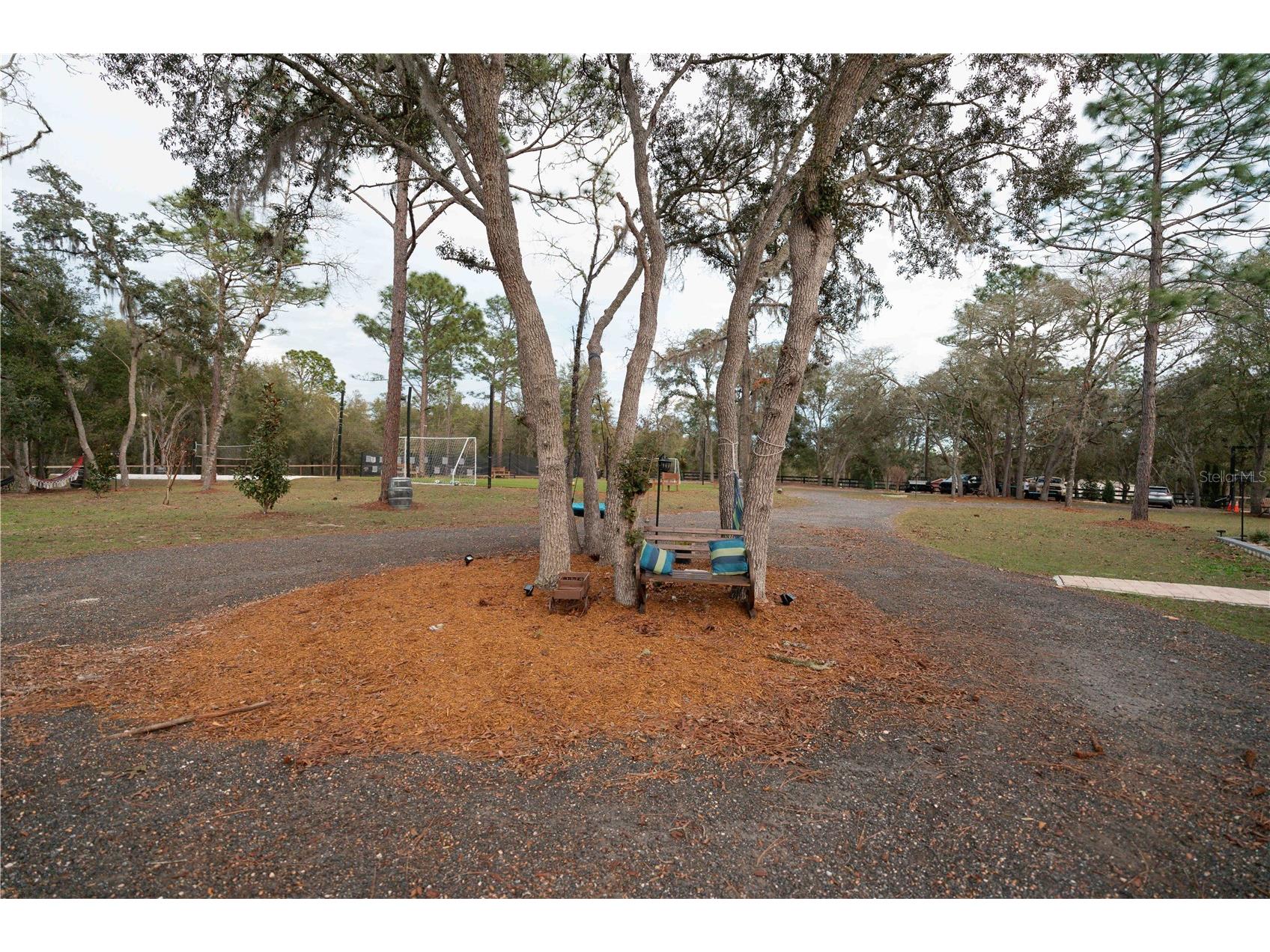 7670 NE 97th Court Bronson FL 32621 S5143545 image28