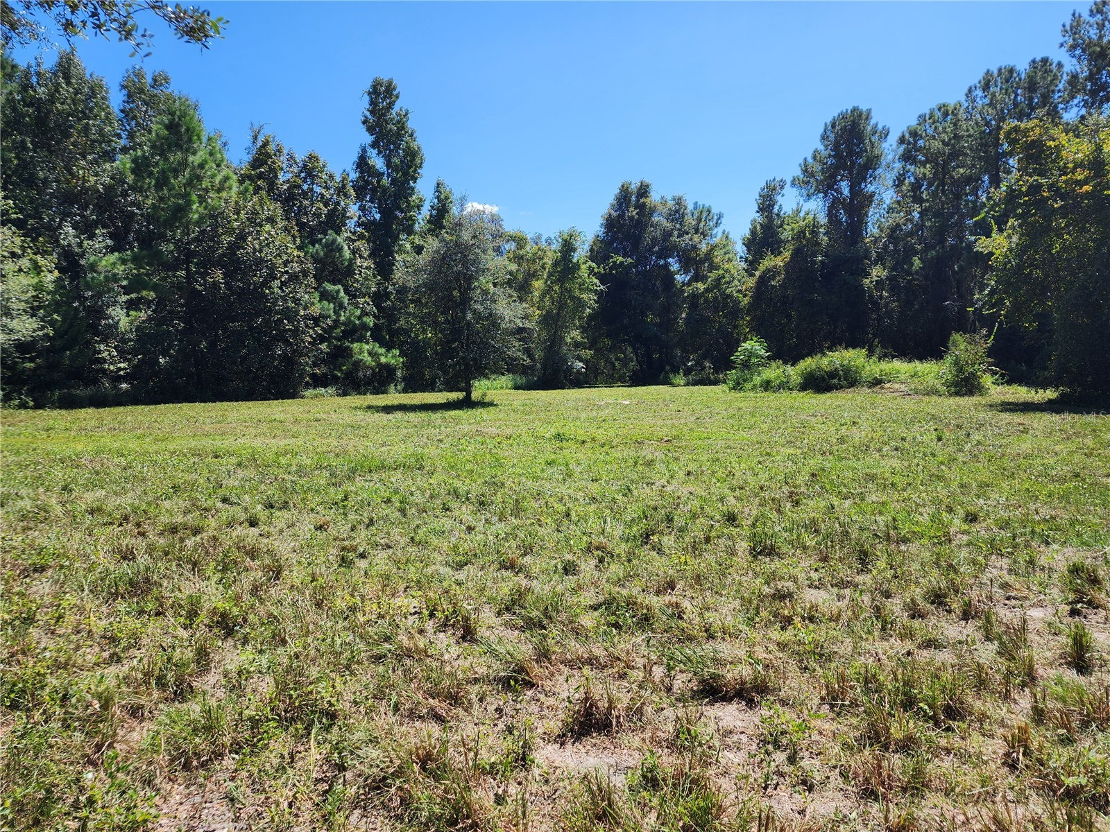 7670 NW 137th Avenue Morriston FL 32668 O6278217 image10