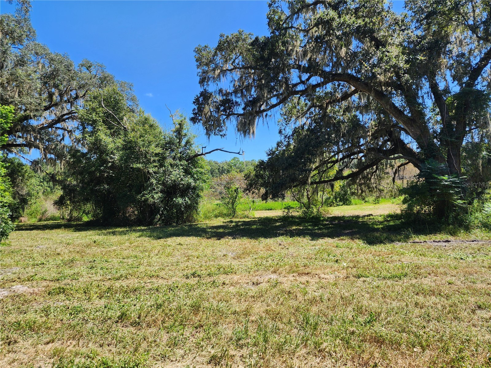 7670 NW 137th Avenue Morriston FL 32668 O6278217 image12