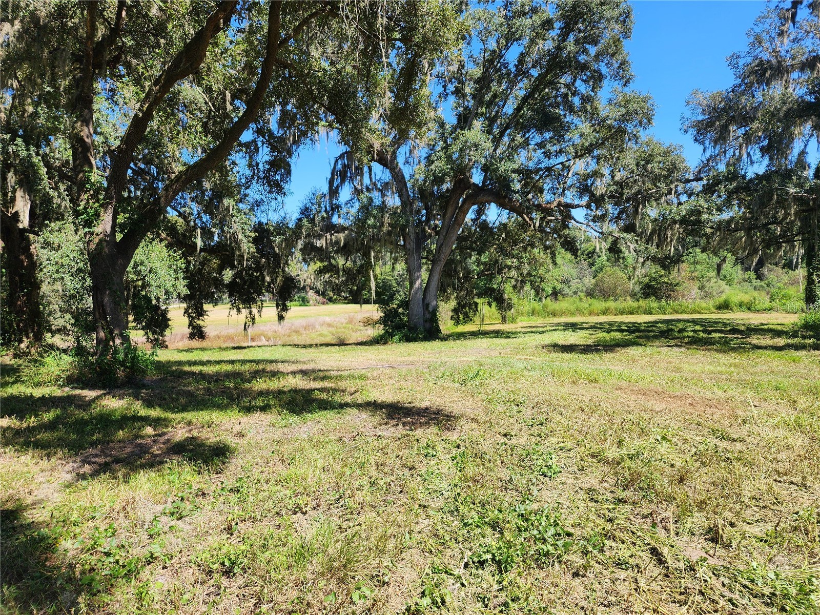 7670 NW 137th Avenue Morriston FL 32668 O6278217 image14