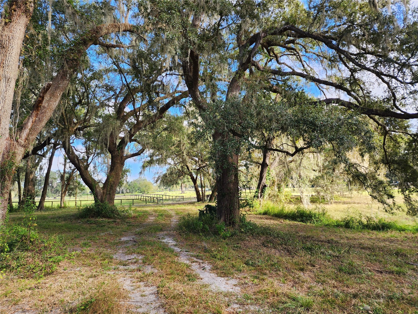 7670 NW 137th Avenue Morriston FL 32668 O6278217 image4