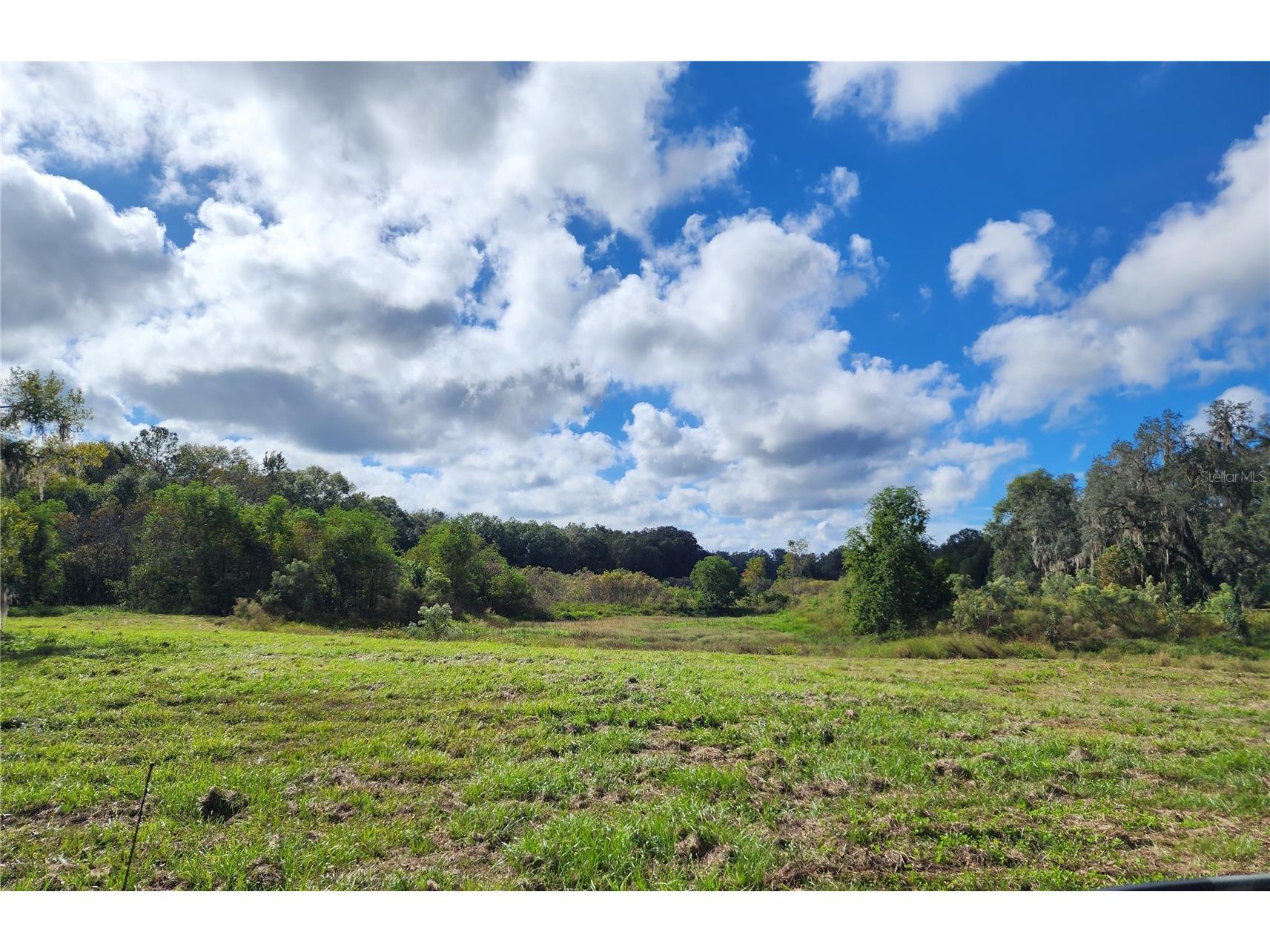 7670 NW 137th Avenue Morriston FL 32668 O6278217 image5