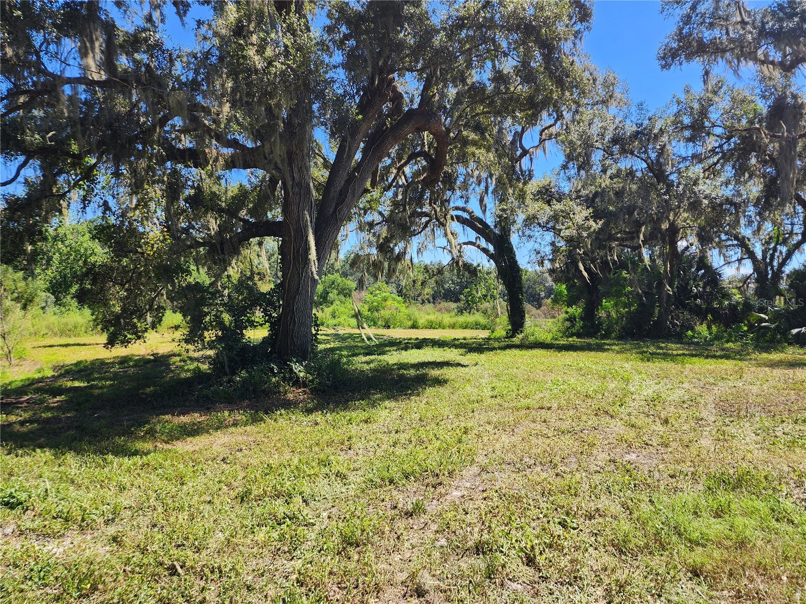 7670 NW 137th Avenue Morriston FL 32668 O6278217 image7