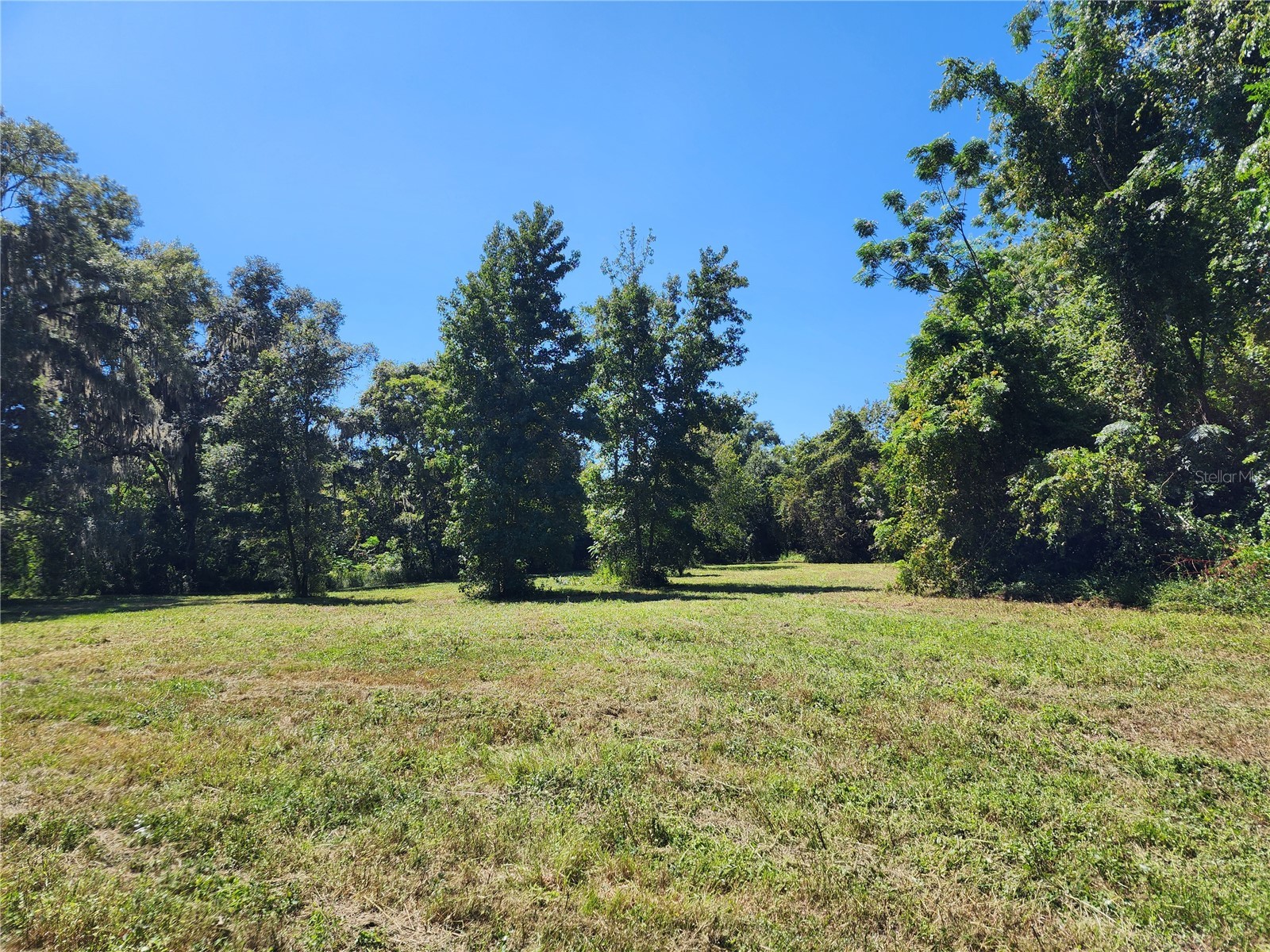 7670 NW 137th Avenue Morriston FL 32668 O6278217 image8