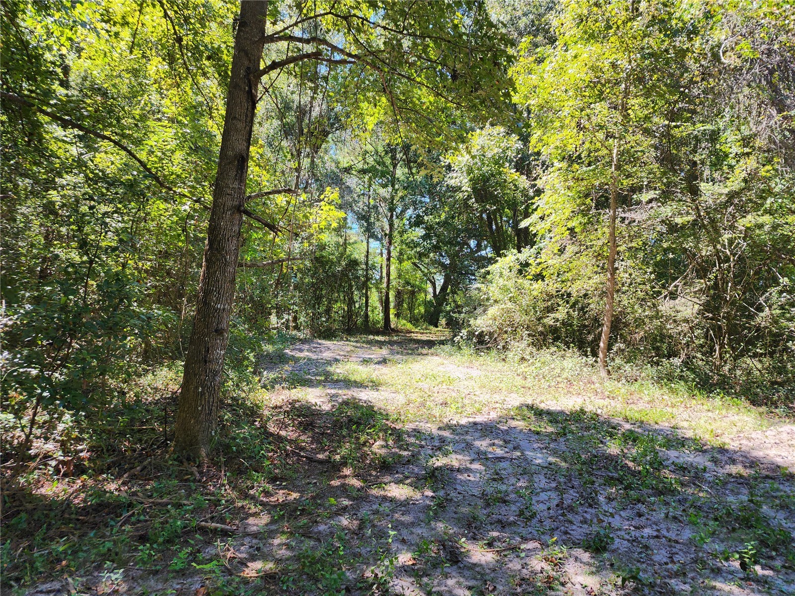 7670 NW 137th Avenue Morriston FL 32668 O6278217 image9